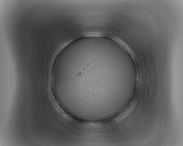 X0000115330529200911091247