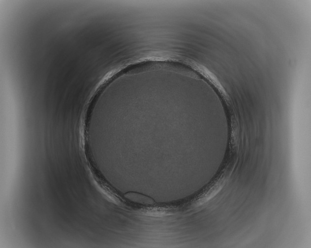 X0000115330530200911091247