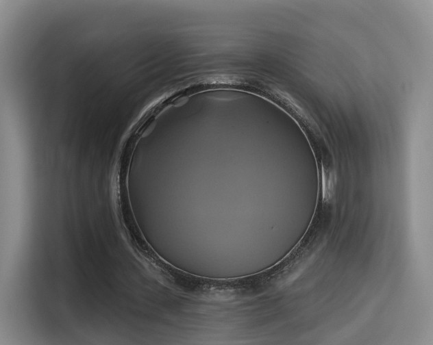 X0000115330531200911091247