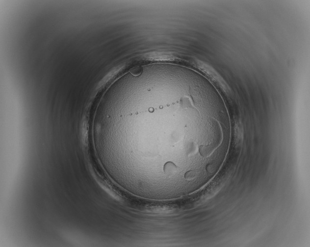 X0000115330533200911091247