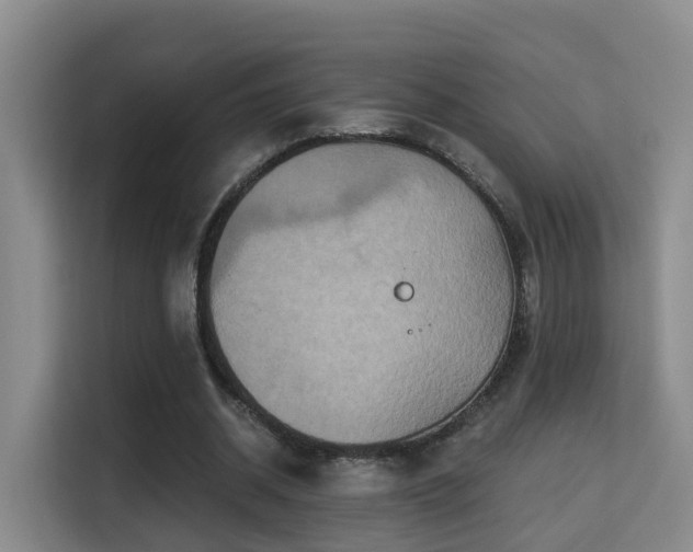 X0000115330534200911091247