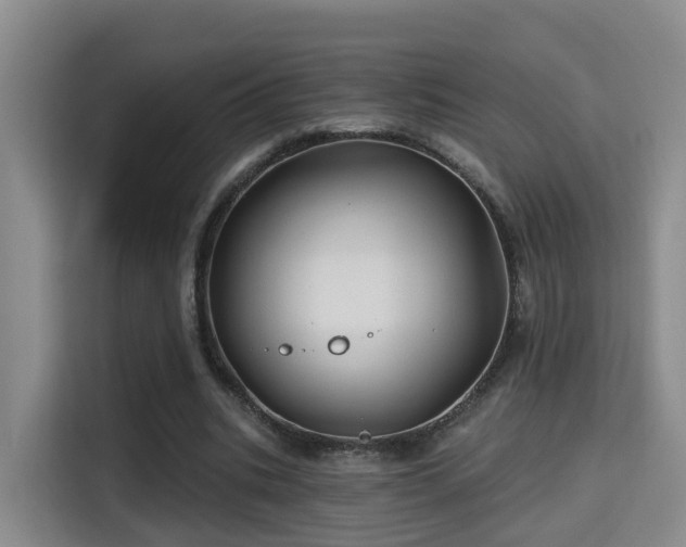 X0000115330535200911091247