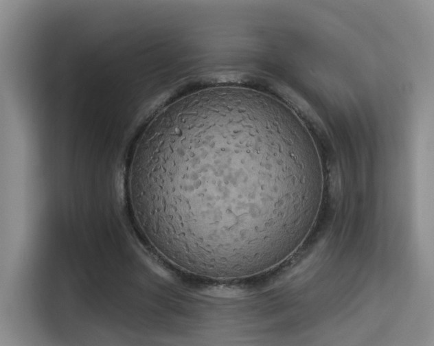 X0000115330537200911091247