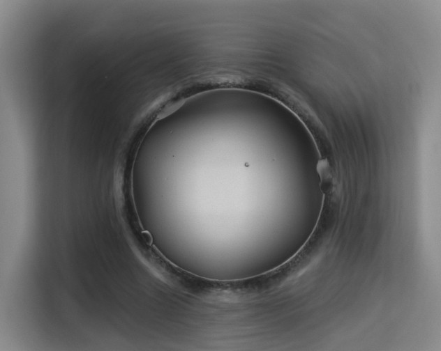 X0000115330538200911091247