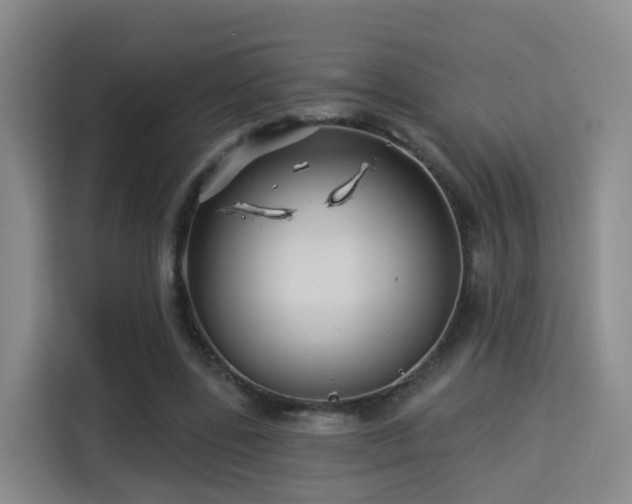 X0000115330539200911091247