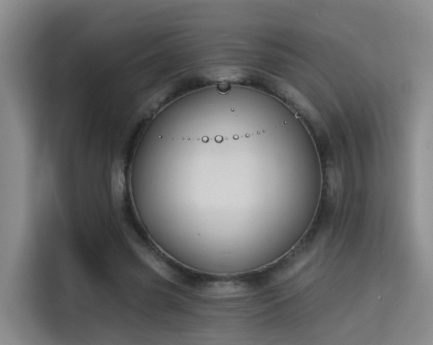 X0000115330541200911091247