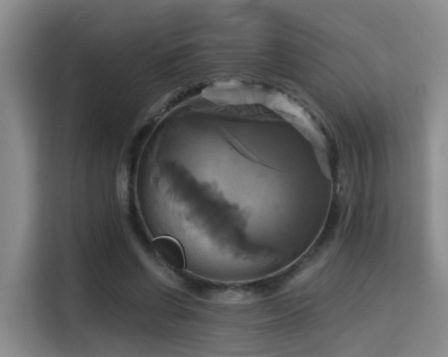 X0000115330542200911091247