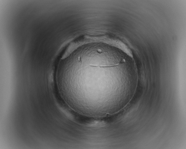 X0000115330543200911091247