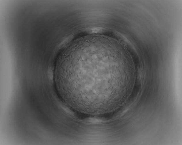 X0000115330545200911091247