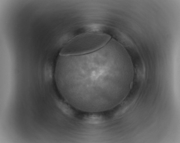 X0000115330546200911091247