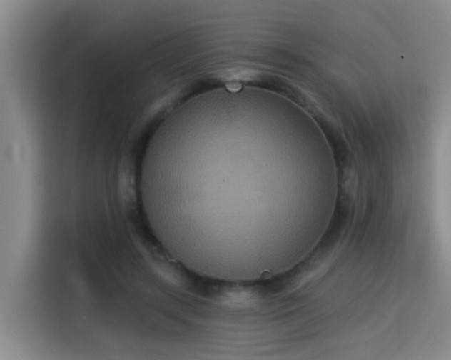 X0000115330547200911091247