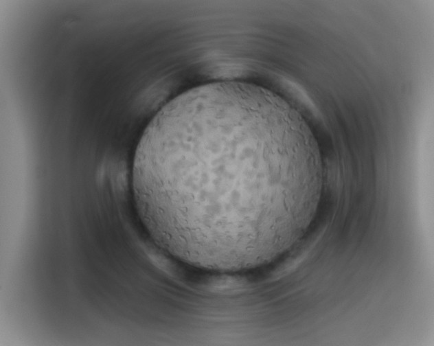 X0000115330549200911091247