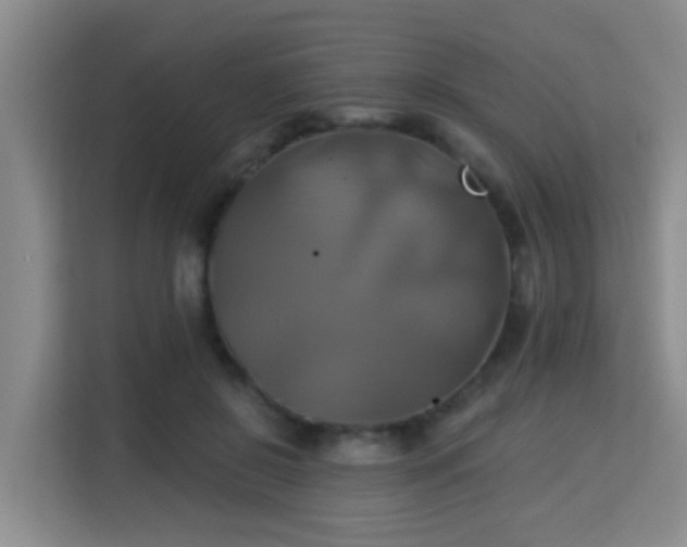 X0000115330550200911091247