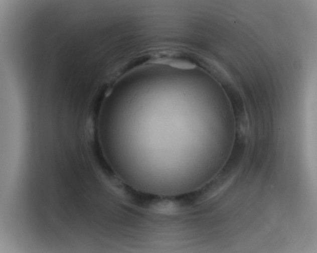 X0000115330551200911091247