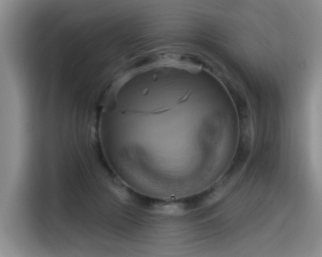 X0000115330553200911091247