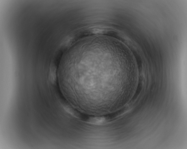 X0000115330554200911091247