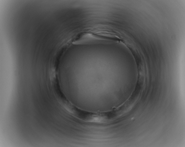 X0000115330555200911091247