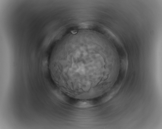X0000115330557200911091247