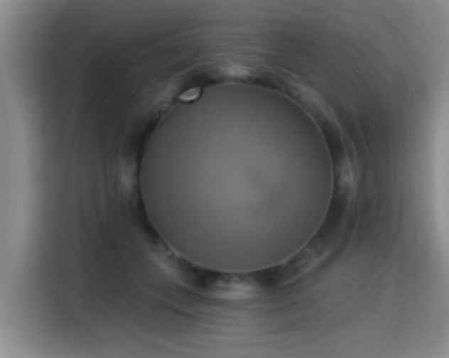 X0000115330559200911091247