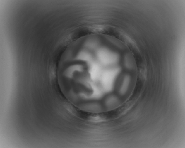 X0000115330561200911091247