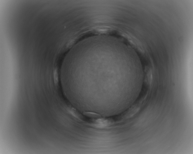 X0000115330562200911091247