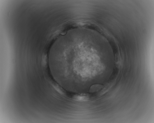 X0000115330563200911091247