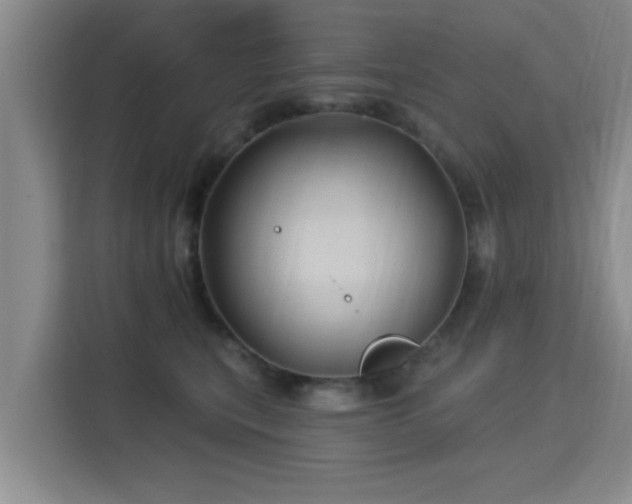 X0000115330567200911091247