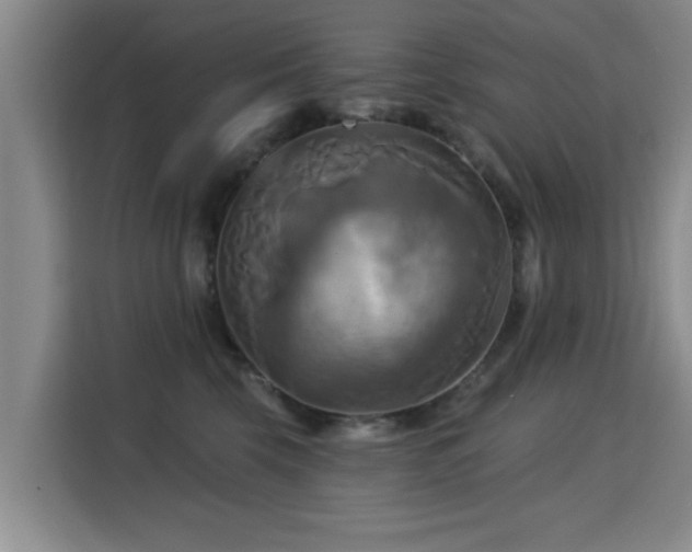 X0000115330569200911091247