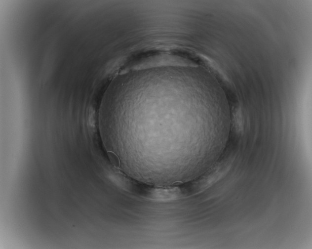 X0000115330571200911091247