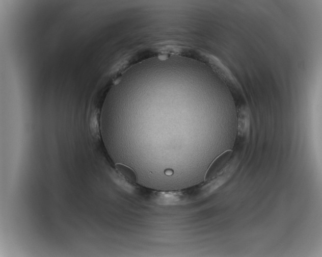X0000115330573200911091247