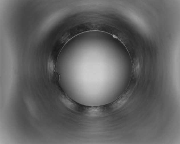 X0000115330574200911091247