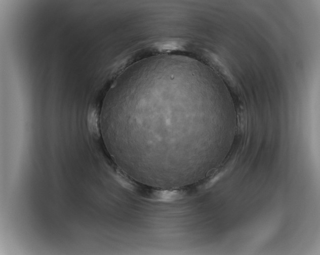 X0000115330575200911091247