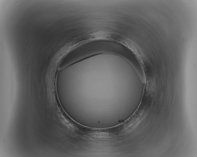 X0000115330577200911091247