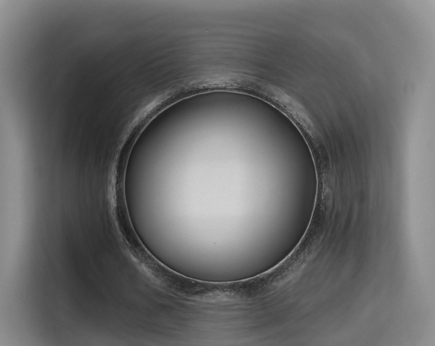 X0000115330578200911091247