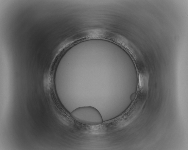 X0000115330579200911091247