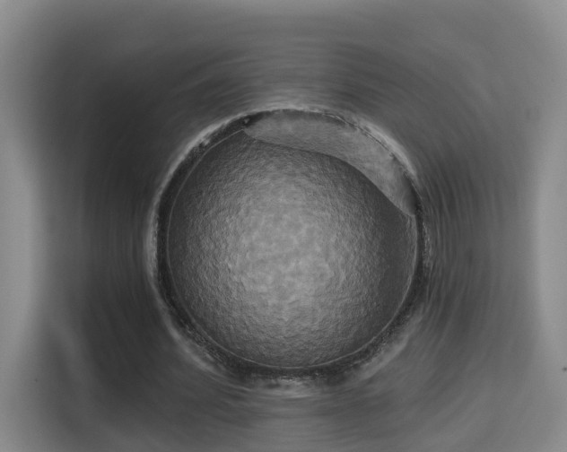 X0000115330580200911091247