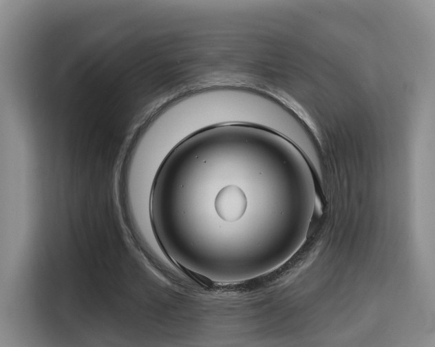 X0000115330581200911091247