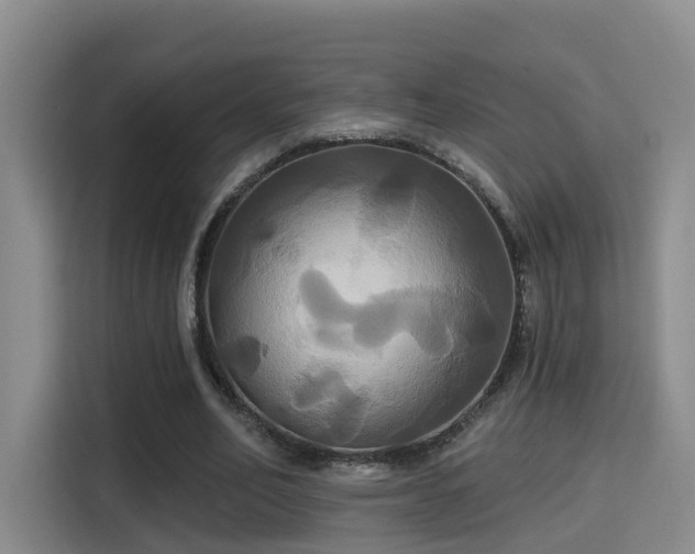 X0000115330582200911091247