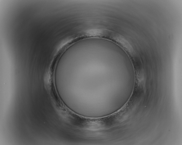 X0000115330583200911091247