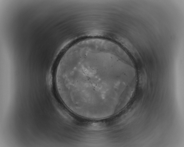 X0000115330584200911091247