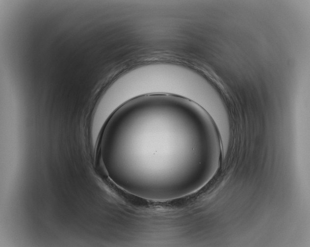 X0000115330585200911091247