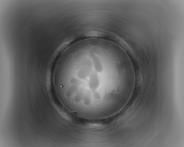 X0000115330586200911091247
