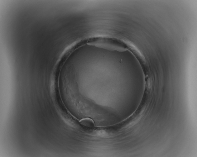 X0000115330588200911091247