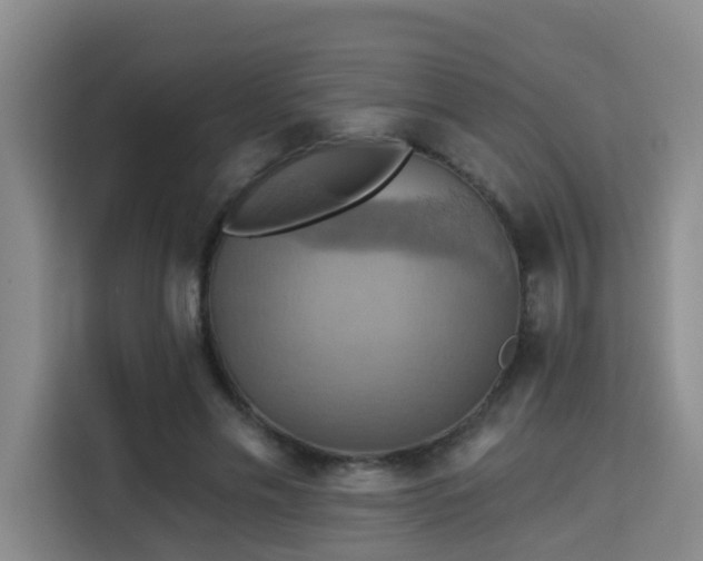 X0000115330589200911091247