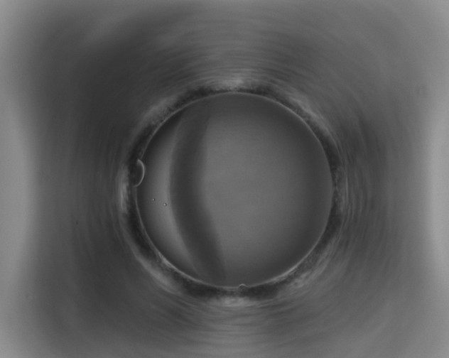X0000115330590200911091247