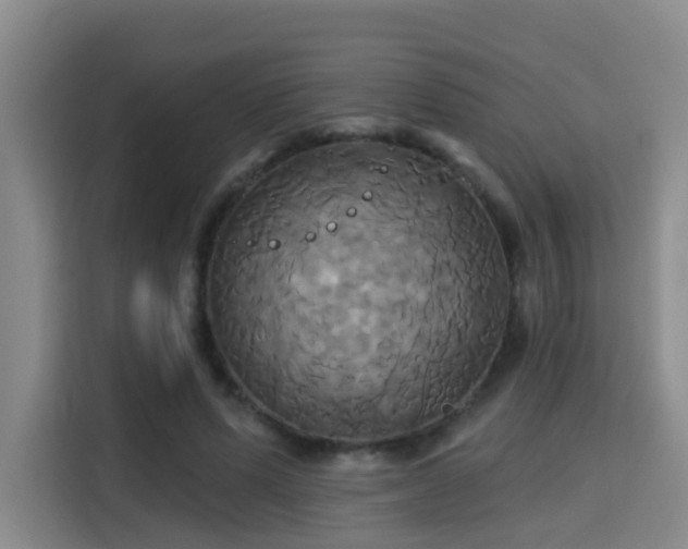 X0000115330591200911091247