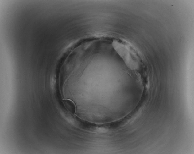 X0000115330592200911091247