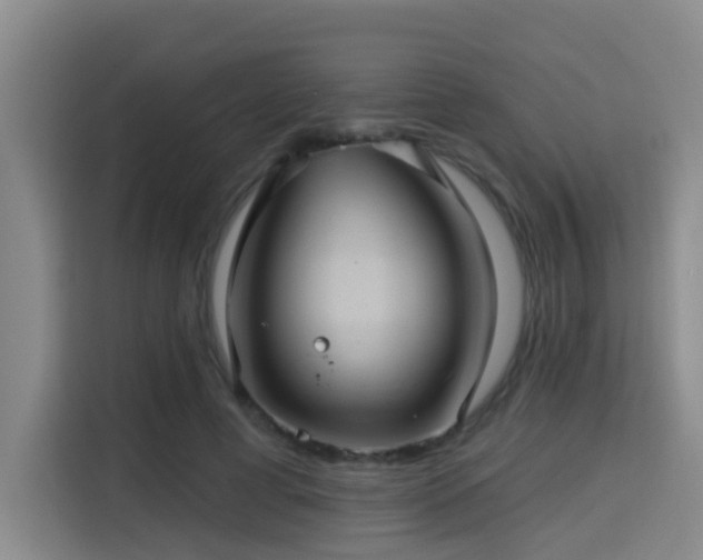 X0000115330593200911091247