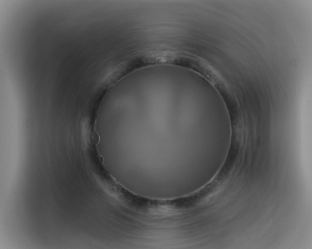 X0000115330594200911091247