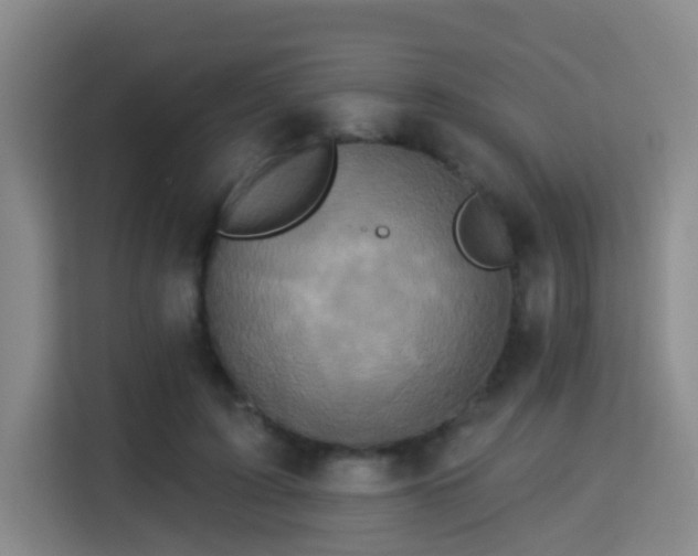 X0000115330595200911091247